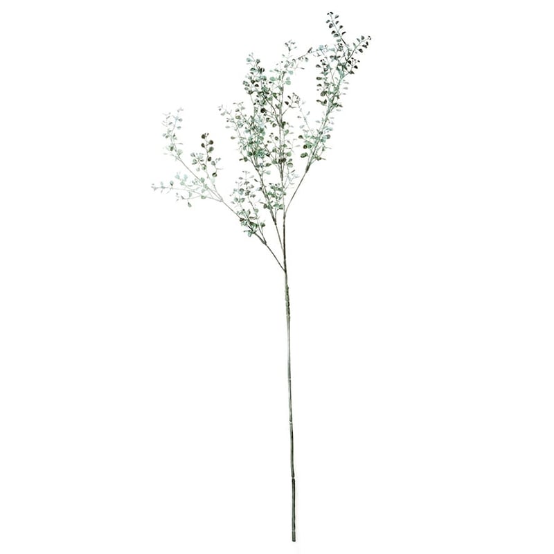 Botanical Stem Eucalyptus Leaf Spray