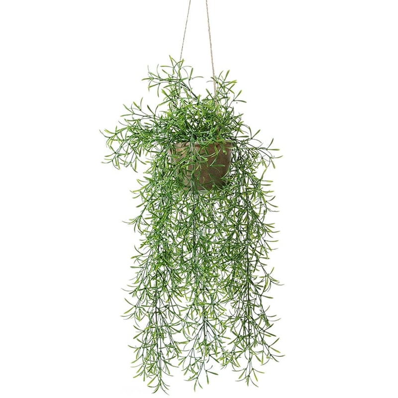 Secret Garden Collection Hanging Vine