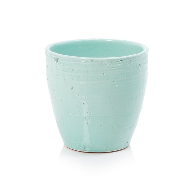 Catina Pot Mint