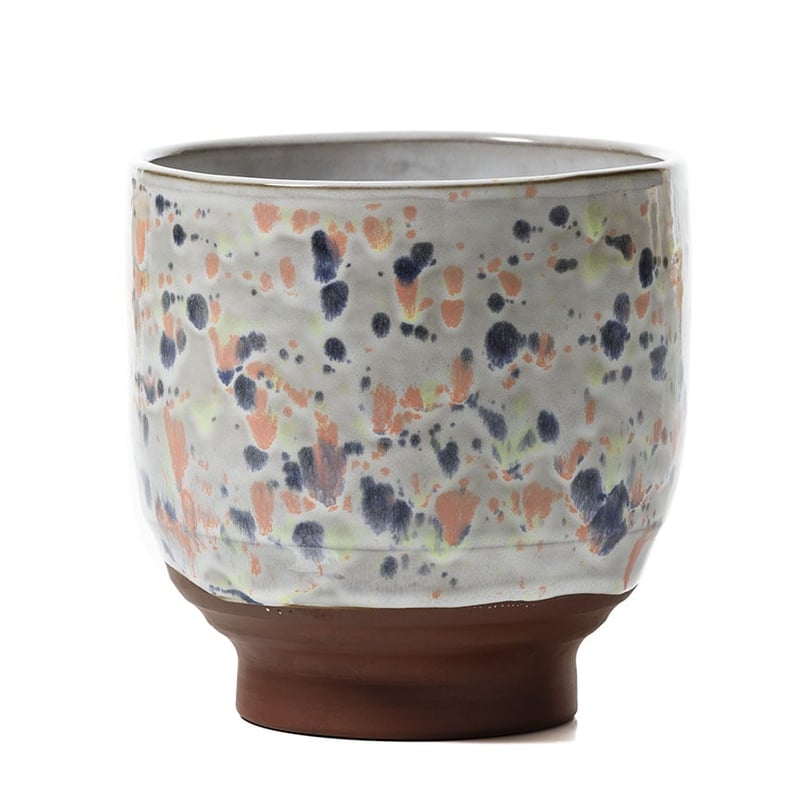 Oasis Pot Splatter Multi 