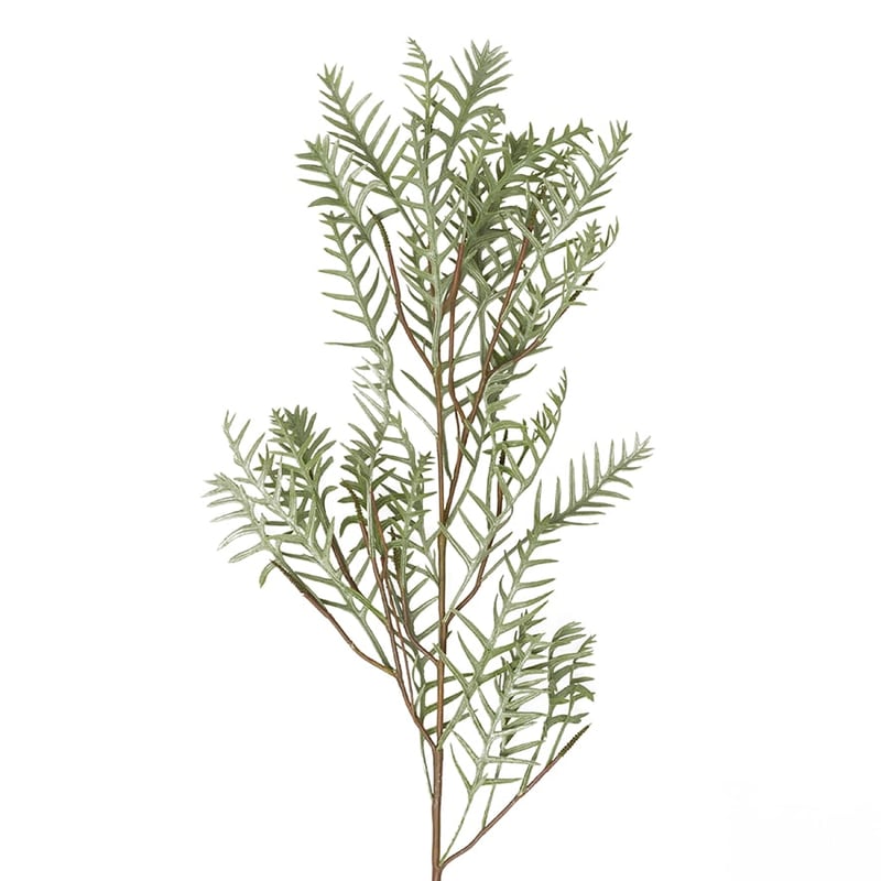 Australiana Stem Grevillea Foliage