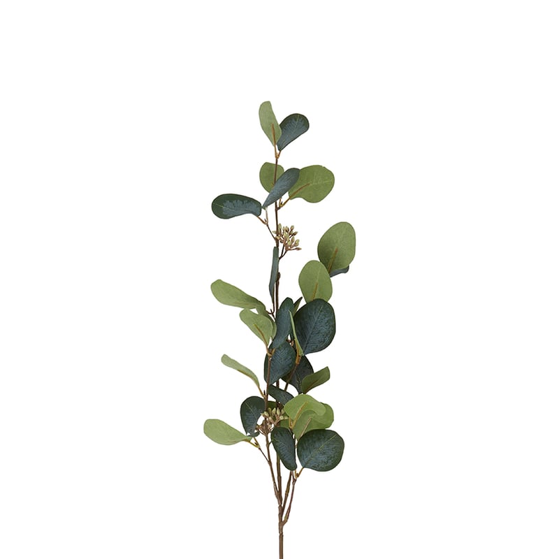 Australiana Stem Seeding Eucalyptus Spray