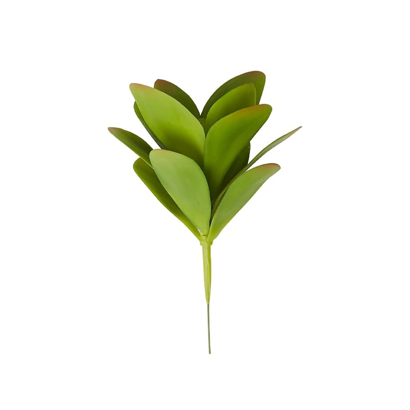 Succulent Garden Stem Leaf