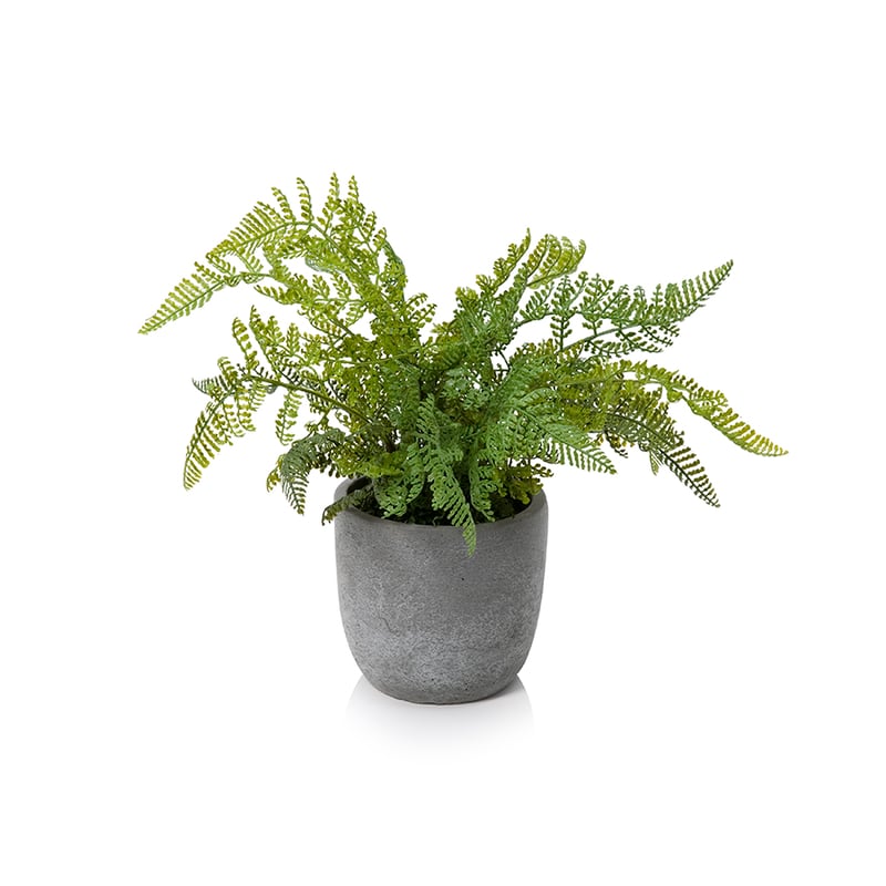 Byron Potted Fern Lace