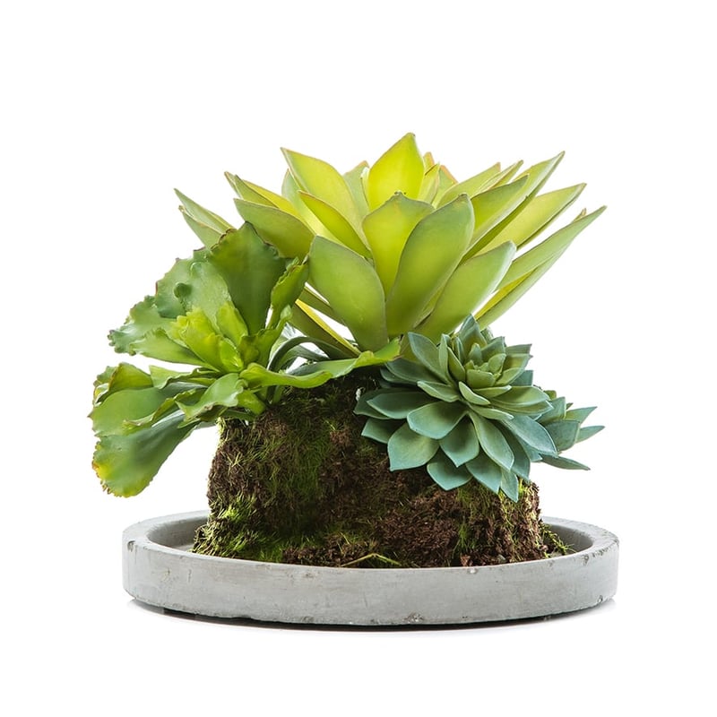 Gifu Plated Garden Green