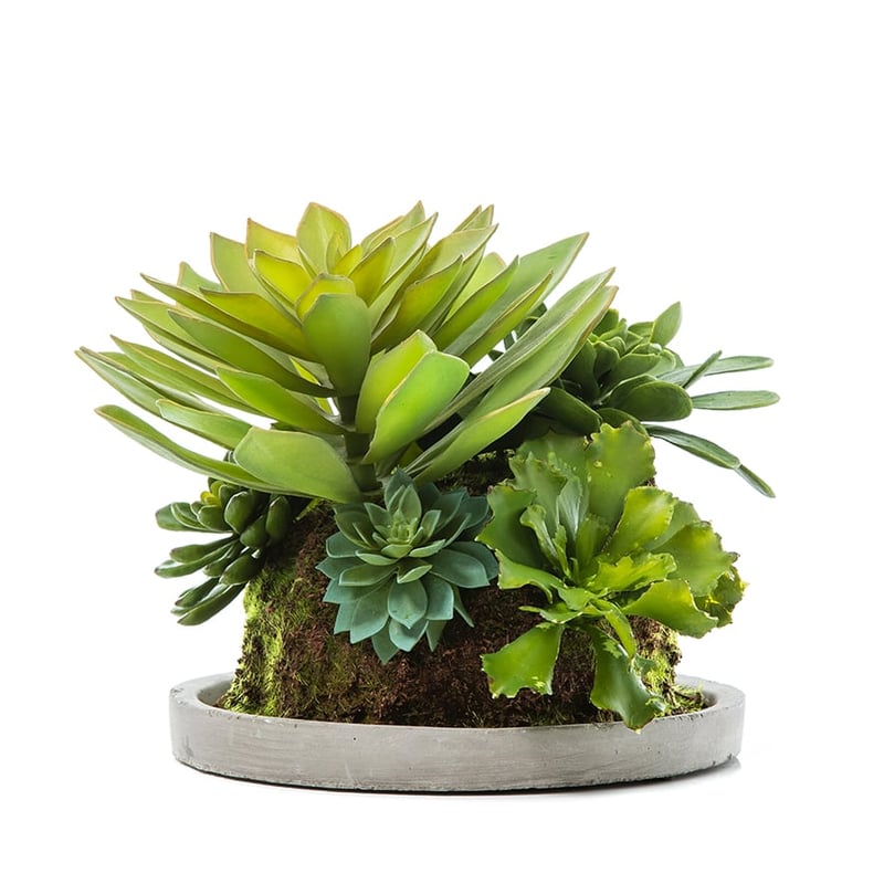 Gifu Plated Garden Green