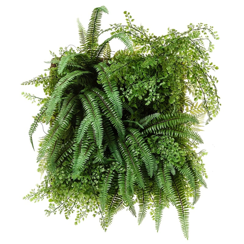 Wall Decor Plant Maiden Hair