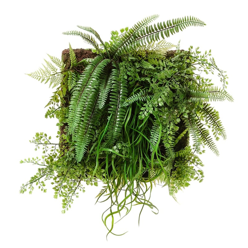 Wall Decor Plant Thin Hair