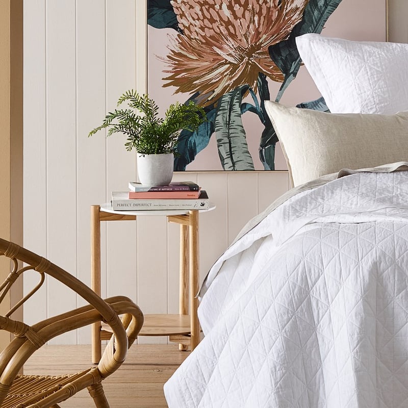 Lennox Potted Lattice Fern