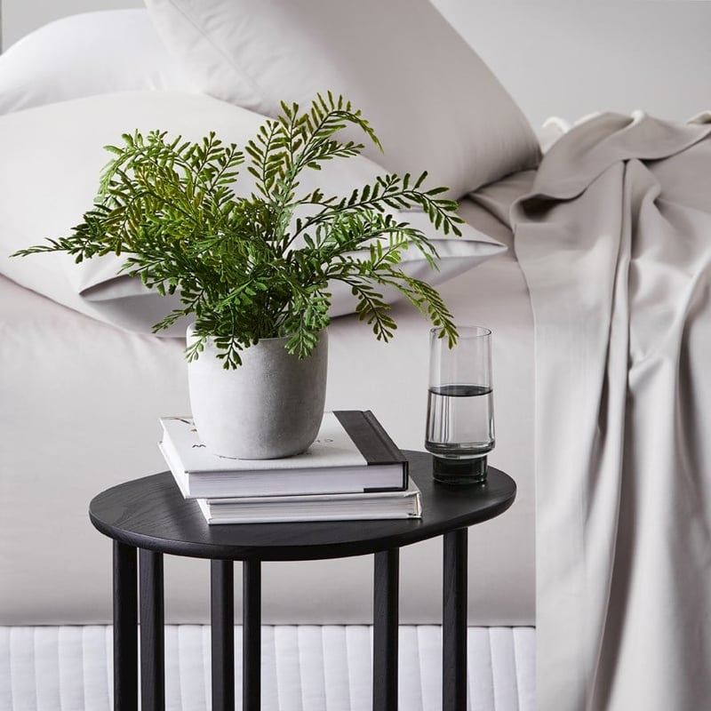 Lennox Potted Lattice Fern