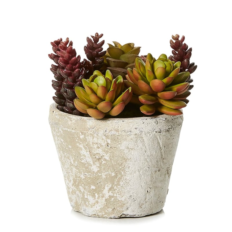 Honshu Garden in Burgundy