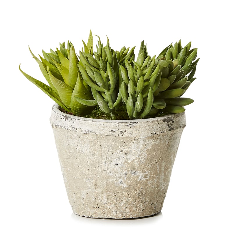 Honshu Garden in Green 