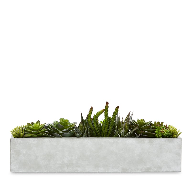 Kochi Succulent Garden Large Grey