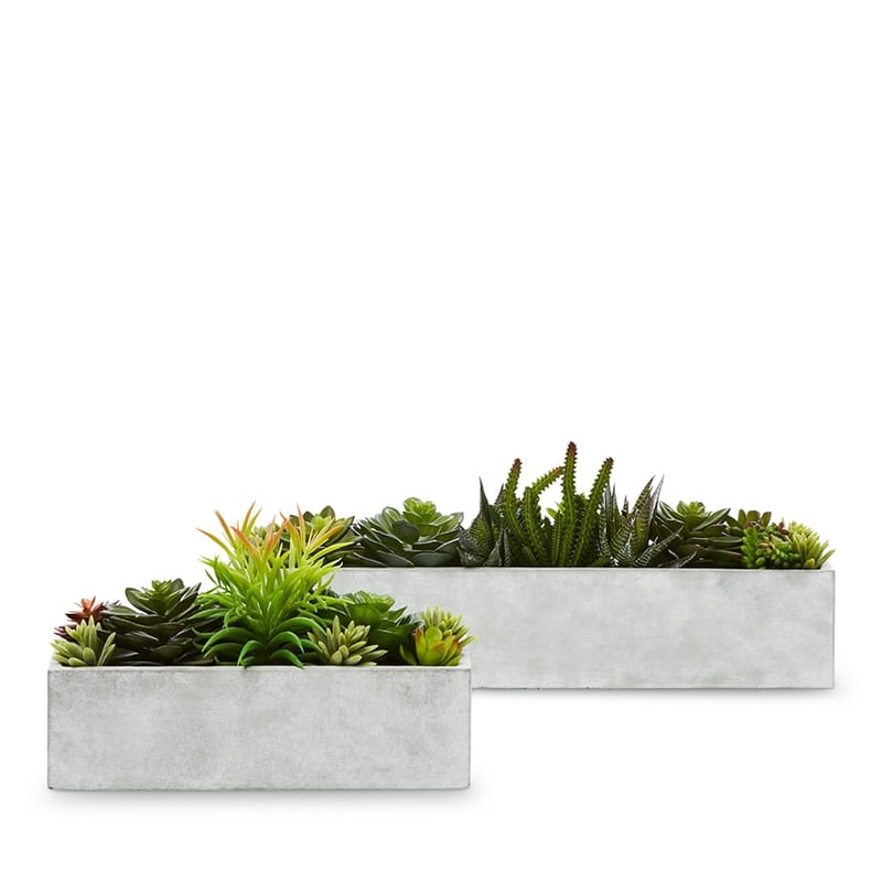 Kochi Succulent Garden Small Grey