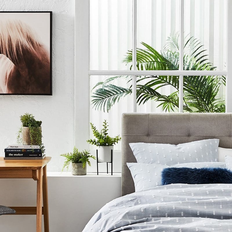 Atami Potted Plant Apple Leaves Green 