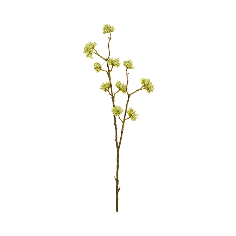 Fleur Stems Buddleia Green