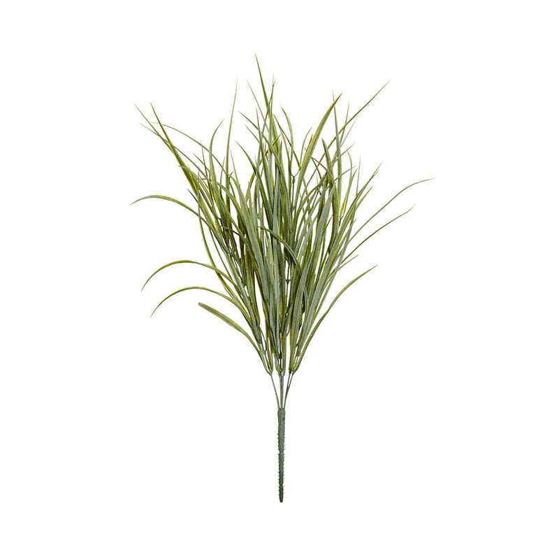 Fleur Stems Onion Grass Green