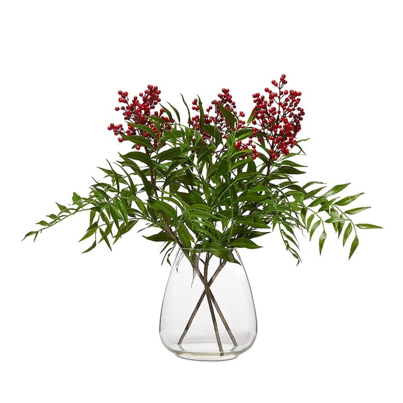 Flowers In Water Red Berries