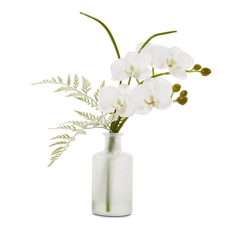 Flowers In Water White Orchid  