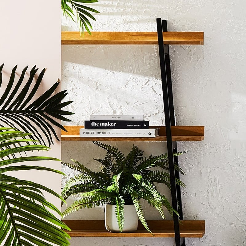 Sonora Fishbone Green Plant 