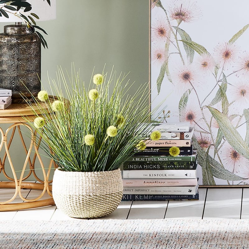 Aberdeen Onion Balls Grasses