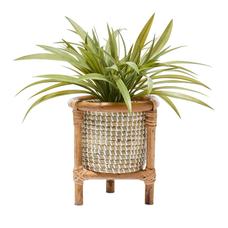 Airlie Tripod Plant Stand