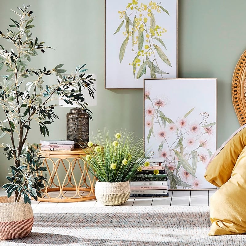 Mediterranean Garden Medium Olive Tree 