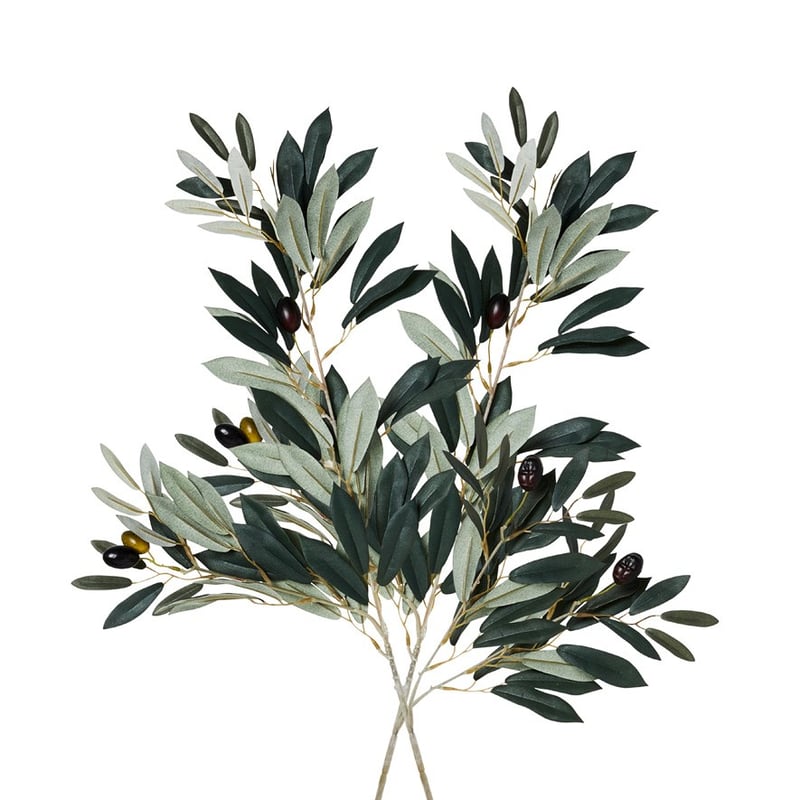 Olive Branch Green Stem 