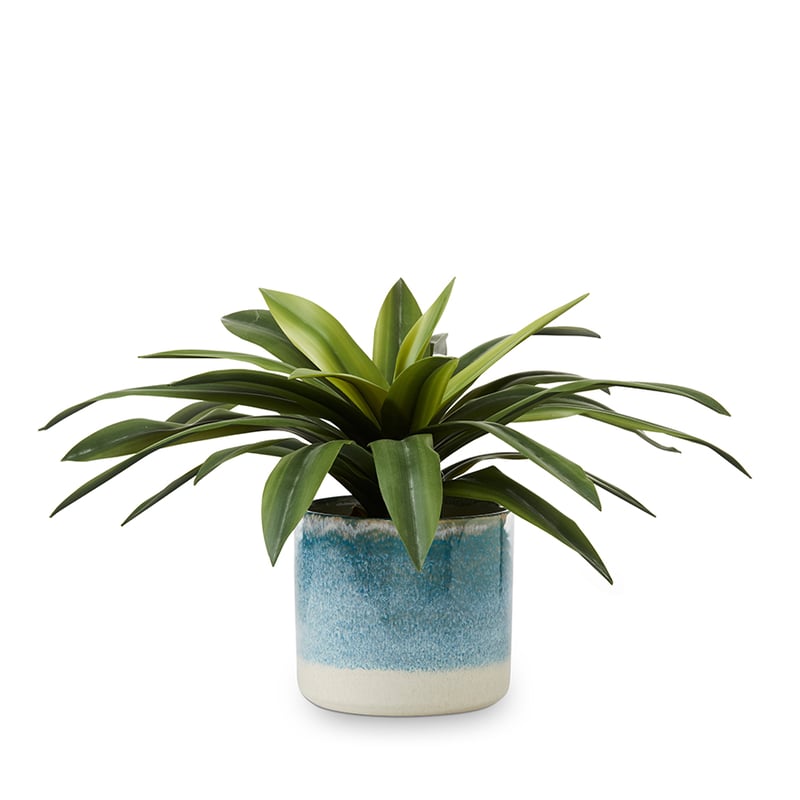 Marine Aqua Pot