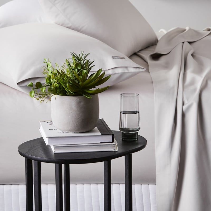 Isu Succulent Garden Spikey