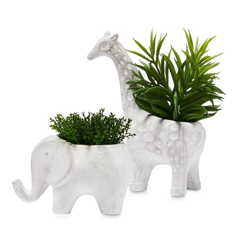 Animal Potted Giraffe Grey Succulent