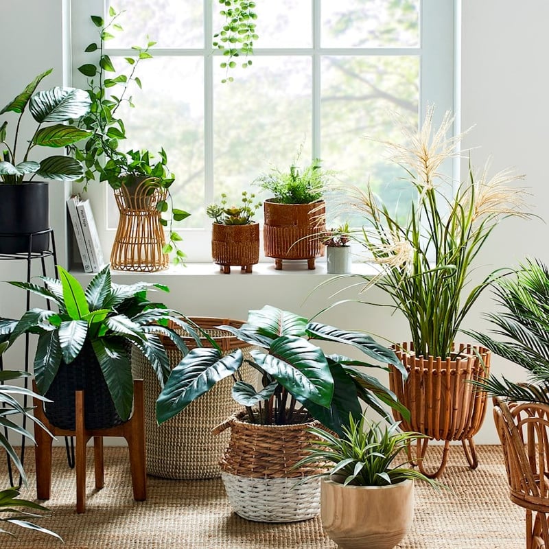 Marigold Natural Plant Stand