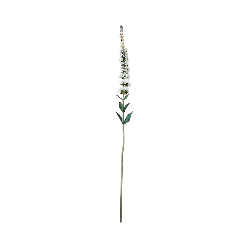 Native White Foxglove Stem 