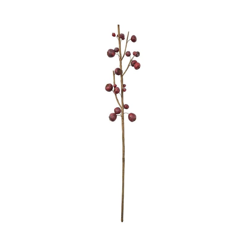 Botanical Red Medlar Stem