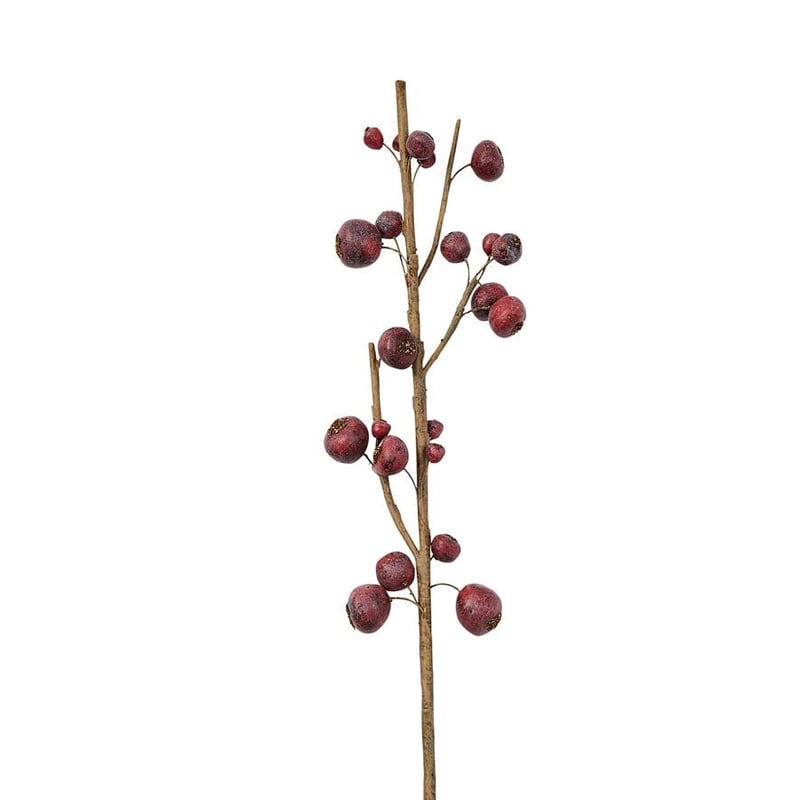 Botanical Red Medlar Stem