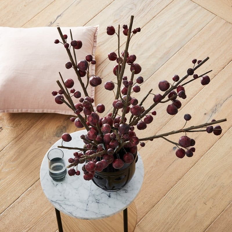 Botanical Red Medlar Stem