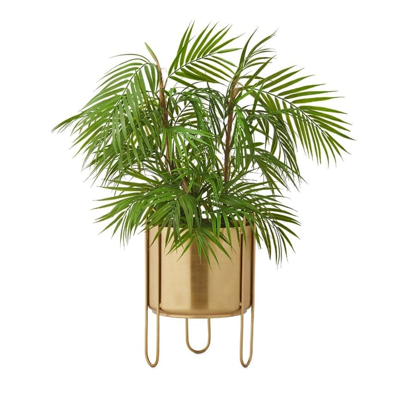 Prani Gold Plant Stand