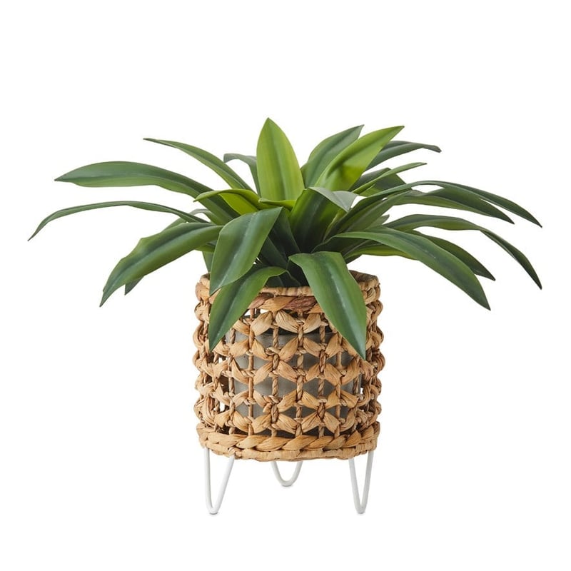 Knotted Natural Plant Stand 