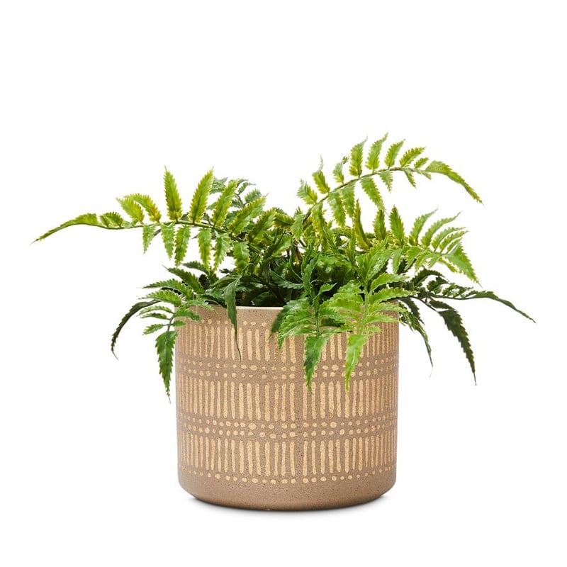 Village Grange Natural Gold Pot