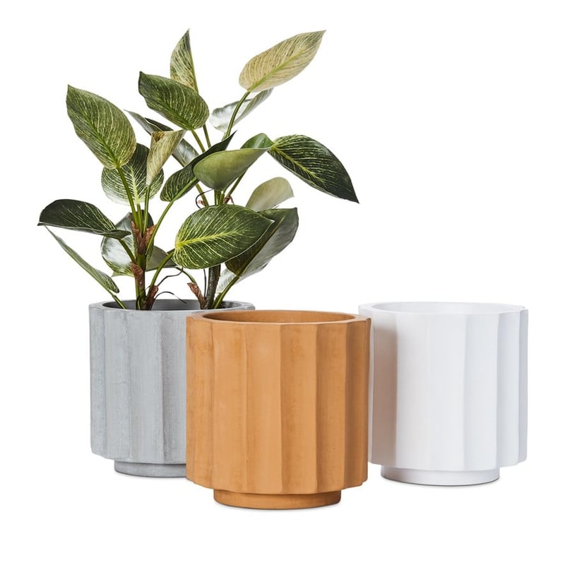 Wide Pleat Mustard Pot