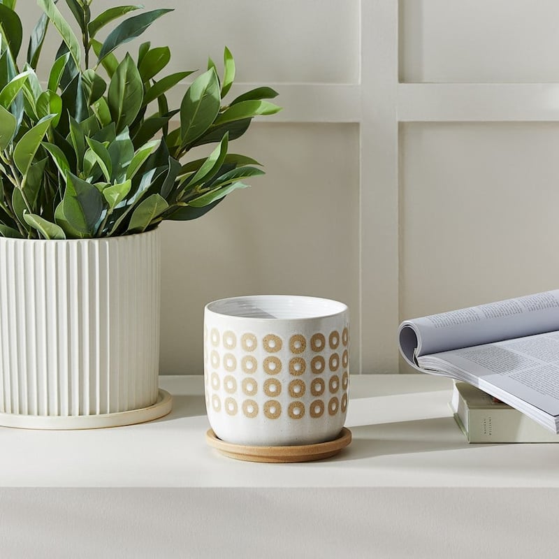 Tuscan Spot Off White Sand Pot and Saucer