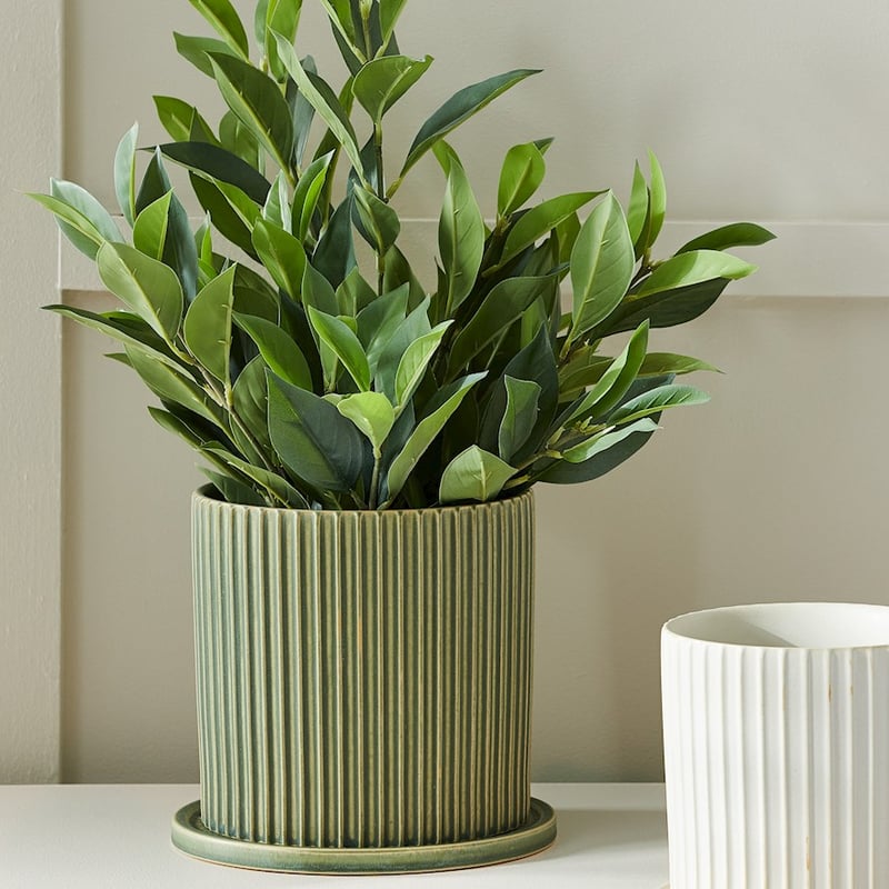 Vertical Green Pot and Saucer
