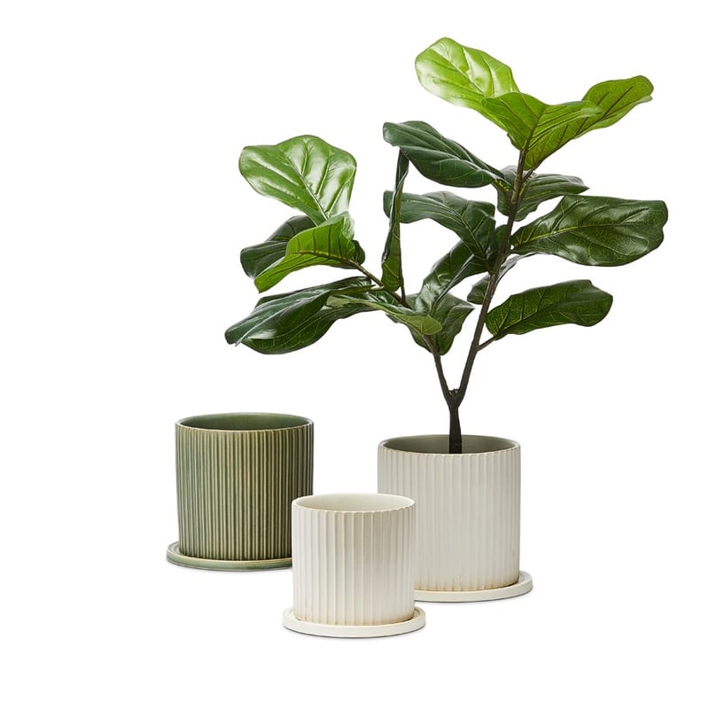 Vertical Green Pot and Saucer
