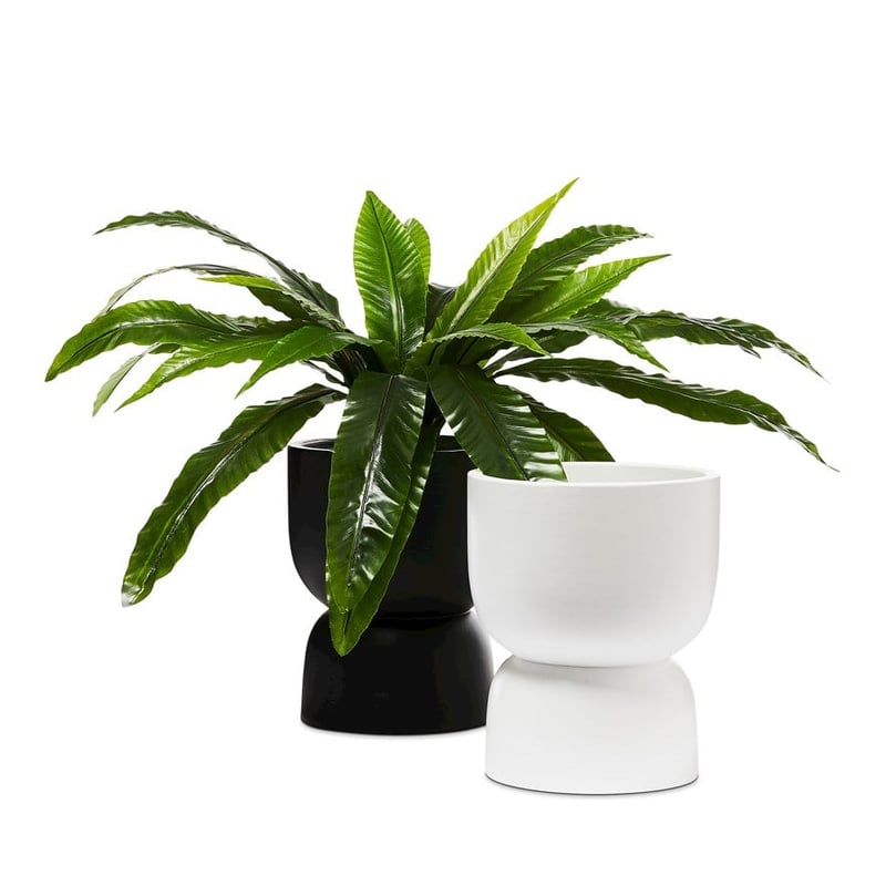 Mark Tuckey Jackson White Pot