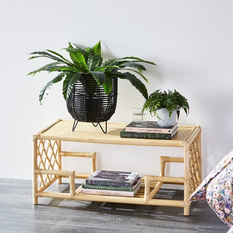 Mark Tuckey Byron Black Plant Stand