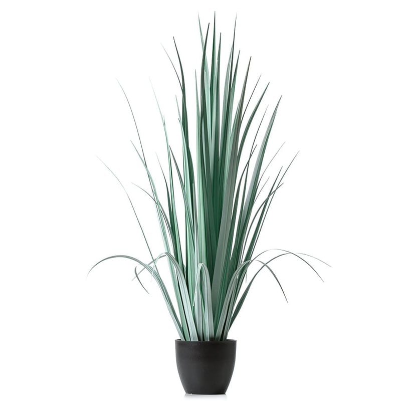 Grey Potted Prairie Grass