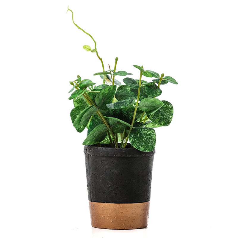 Black Everleigh Planter