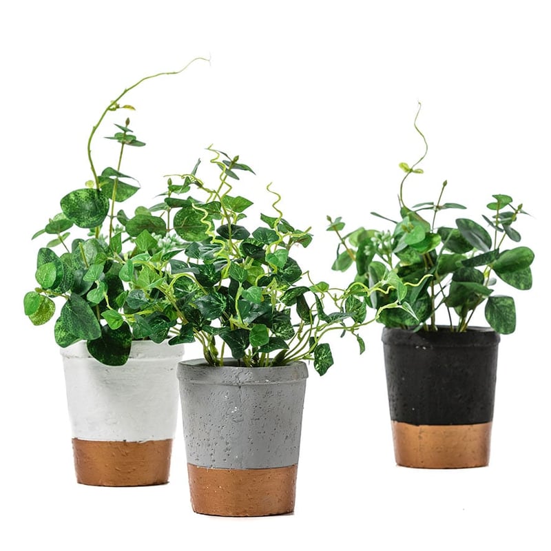 White Everleigh Planter