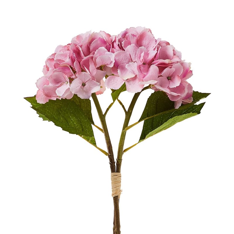 Spring Stems Pink Hydrangea
