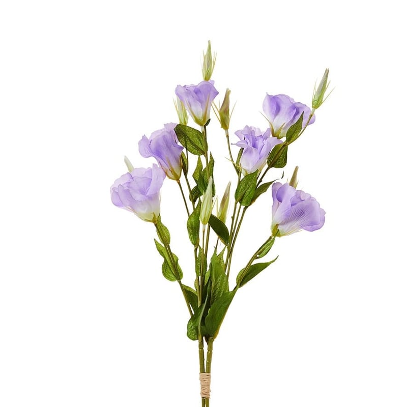 Spring Stems Purple Lisianthus 